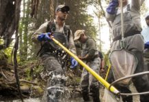 Veterans, volunteers salvage fish in Ninemile Creek | Local News