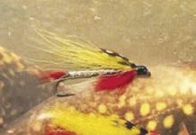 North Country Angling: Who knew trout liked venison? | Fishing