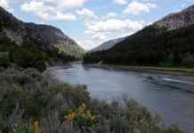 Guides allege mismanagement of Snake River | News