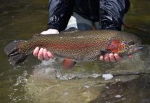 Fishing license cost will remain same in 2022 | Connect FM | Local News Radio