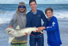 Shark Fishing in Florida: An Angler’s Guide