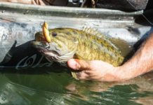 Four fishing trips to make during the summer heat