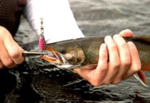 Best Fishing Pliers For Freshwater & Saltwater Fishing