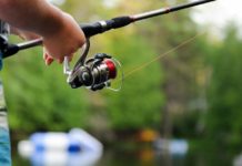 Best Fishing Reels: Spinning, Fly Reels & Much More