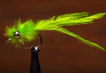 Video: How to Tie a Damselfy Nymph