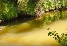 Video: How To Improve Dry-Fly Accuracy on Small Trout Streams, Part 1