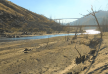 Field Report: Fishing in a Drought