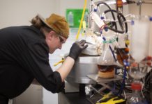 CU Partners With Charlotte’s Web to Study CBD’s Impact on Sleep and Anxiety