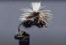 Video: How to Tie a Parachute Ant