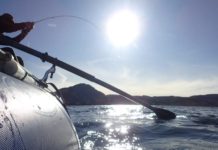 Heat and streamflows – Explore Big Sky