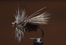 Video: How to Tie the Peacock Caddis
