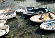 3 Tips for Booking a Fly-In Fishing Trip in Alaska