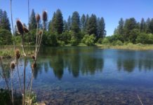 California’s only boat-in state park is the perfect summer escape. And there’s lots of water