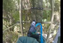 5 great adventures await travelers to the north Georgia mountains – WSB-TV Channel 2