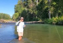 Video: Casting a Dry Fly Upstream vs Downstream
