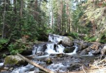 Get Wild: Tenkara fishing is a gateway to wilderness appreciation