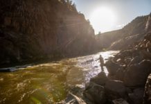 Salomone: Time to reach for some Colorado gold