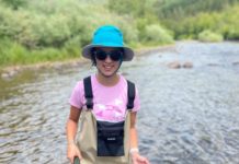 On the Fly column: Elephants and silver linings