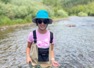 On the Fly column: Elephants and silver linings