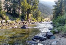 Hoot-owl restrictions a necessary inconvenience for area anglers