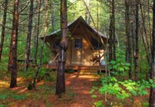 Recharge Your Mind, Body And Spirit By Glamping In The Forests Of Southern Maine