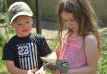 A Somerset County pheasant farm took roost because there were no birds