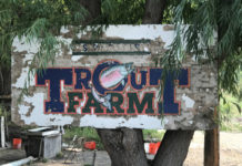 COVID pandemic leads to unprecedented numbers for fishing