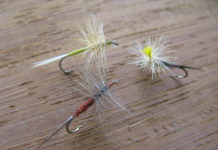 Observations and determinations about fly selection