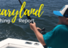Maryland Fishing Report for August 13, 2021