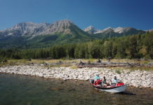 Local fly fishing guides take a hit for second year in a row – The Free Press