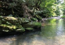 Trip before son starts college was about more than catching fish