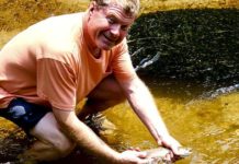 Verdigre Creek is trout stream gem in northeastern Nebraska | Outdoors