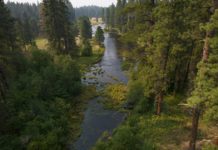 Drought taking toll on head of the Metolius River | News