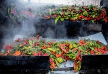 4 upcoming Colorado festivals: Pueblo Chile & Frijoles, Dragon Boat and more | Lifestyle