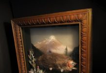 Fur-bearing trout lives on into 21st century | News