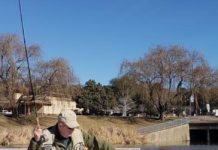 Many of my best fishing lessons came from fish | Local News