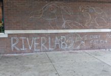 The Chicago Park District’s River Lab is opening programming at a former hot-dog stand at River Park to deepen the experience of the Chicago River.