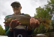 The Best High- and Low-Water Fly Fishing Tactics
