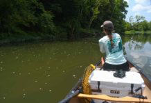Hidden bounty on a late summer riverbank | Hatch Magazine