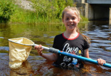 What bugs tell us about water quality | News, Sports, Jobs