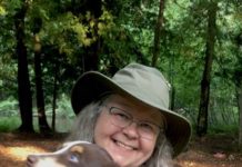 Harrison to receive statewide environmental award