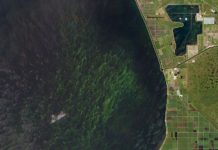 Wednesday Wake-Up Call 08.18.21 – Orvis News