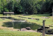 Making Summer Memories | News, Sports, Jobs