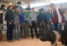 Routt County schools teaching every student where their food comes from