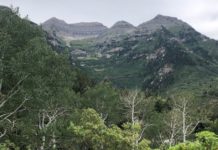 8 Reasons You’ll Love Staying At Robert Redford’s Sundance Resort