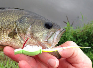 Warmwater Tips: Bass Go Ga-Ga for Gurglers