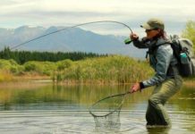 Podcast: Amelia Jensen on Lowering Fish Mortality with Better Photo Techniques