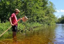 What bugs tell us about water quality