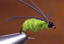 Video: How to Tie the Bully Bluegill Spider