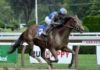Dunham Still Training At 85, Gets First Saratoga Stakes Win In Fleet Indian – Horse Racing News